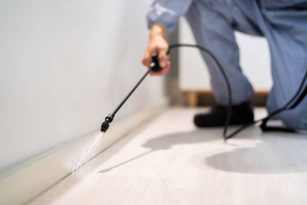 Bed Bug Pre-Treatment Preparation Assessment in North Yelm