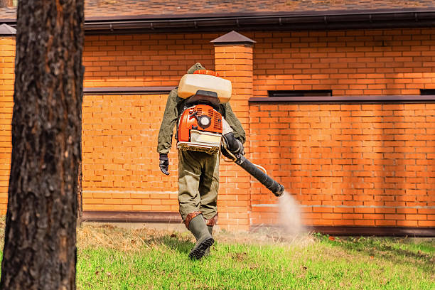 Bed Bug Clearance Verification and Documentation in North Yelm